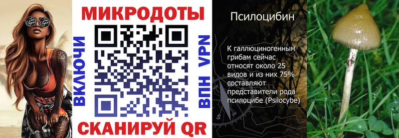 Галлюциногенные грибы GOLDEN TEACHER  Купить  Октябрьск 